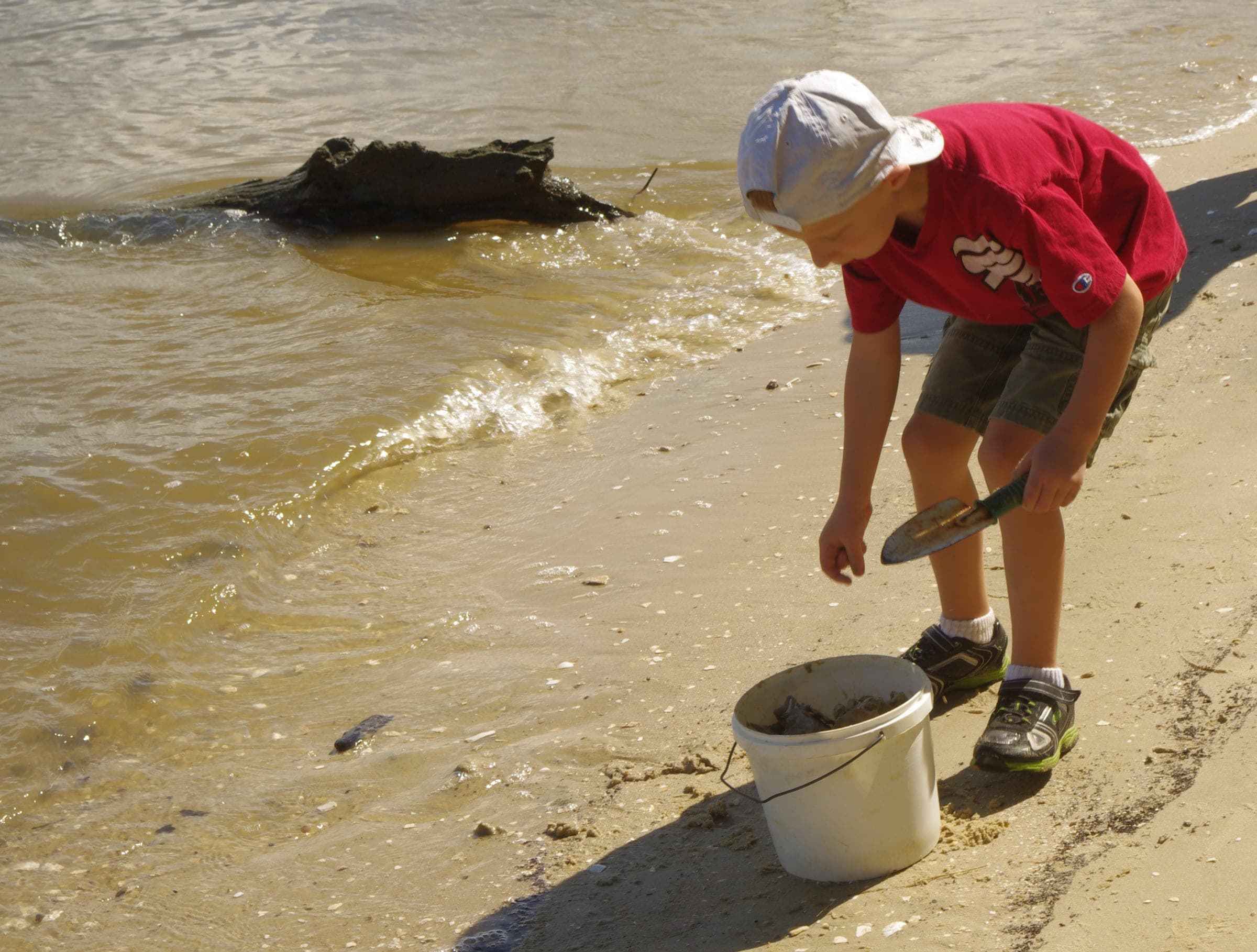 A child bent over the wet sand hunting for shark teeth